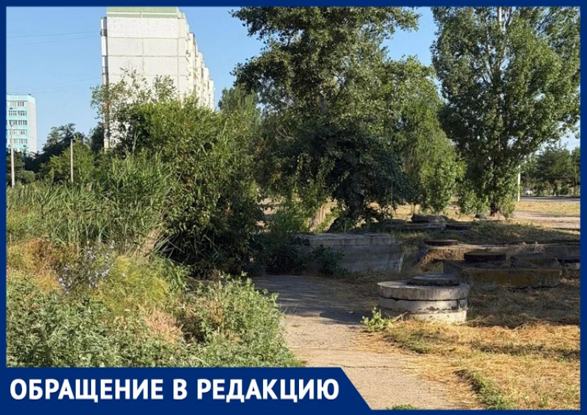 «Вместо дорожки – метровые заросли травы с клещами, а на месте парковки – грязевой бассейн»: волгодонцев шокировал микрорайон В-9