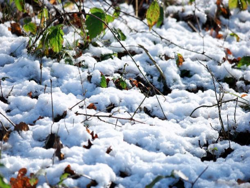 Долгожданный снег в Волгодонске к вечеру может «смыть» дождь