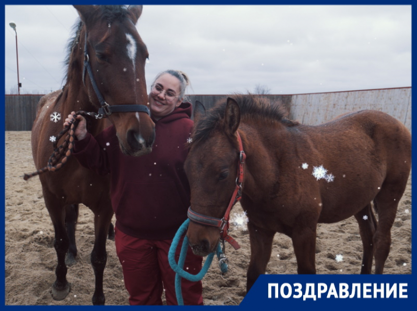 Символы Нового года Фина и Сокол поздравляют волгодонцев с наступающим праздником!