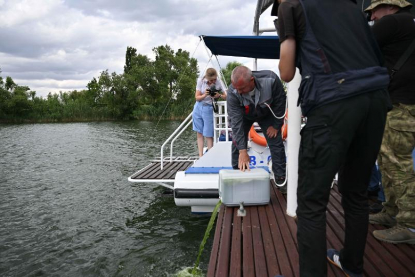 Хлорелла выйдет на борьбу с сине-зелеными водорослями: сотни литров суспензии выпустили в Дон и в пруд охладитель РоАЭС волгодонские атомщики