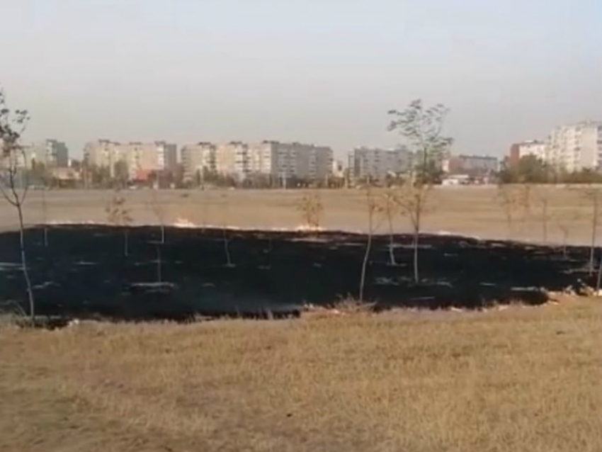 Крупный пожар произошел в парке «Молодежный» в Волгодонске