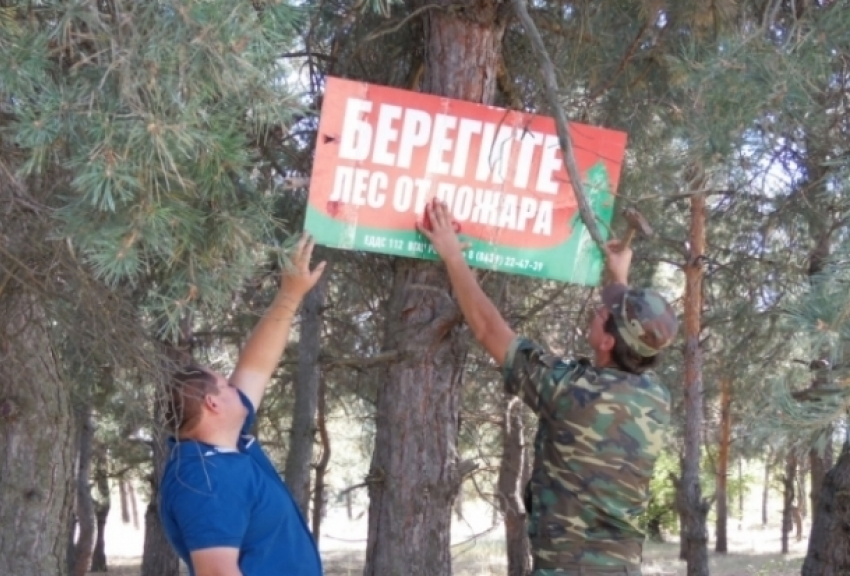 За 2,2 миллиона рублей в Волгодонске в 2019 году будет обеспечена охрана и защита лесов
