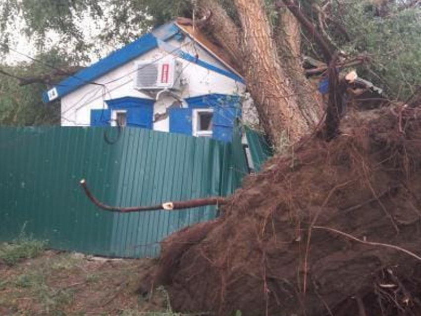 Сорванные крыши, поваленные деревья: по селу Ремонтному прошелся сильнейший смерч