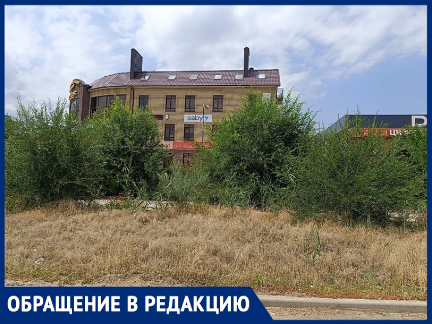 Жители Волгодонска рассказали о захламлении и запустении улицы Энтузиастов