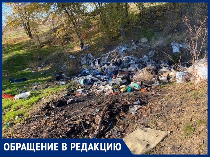 В районе детского садика «Лазорики» возникла мусорная свалка