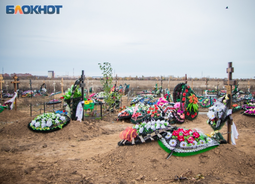 Умирало больше, разводились чаще: в Волгодонске печальная демографическая ситуация по итогам марта