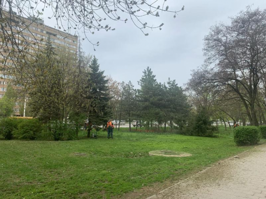 На большинстве улиц Волгодонска выполнен покос травы 