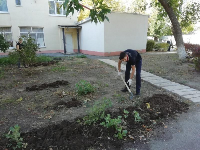 Волгодонские студенты помогли благоустроить территорию Волгодонского пансионата для престарелых и инвалидов 
