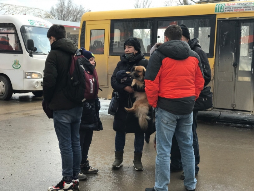 Беженцев из Донбасса могут трудоустроить врачами и учителями в Волгодонске
