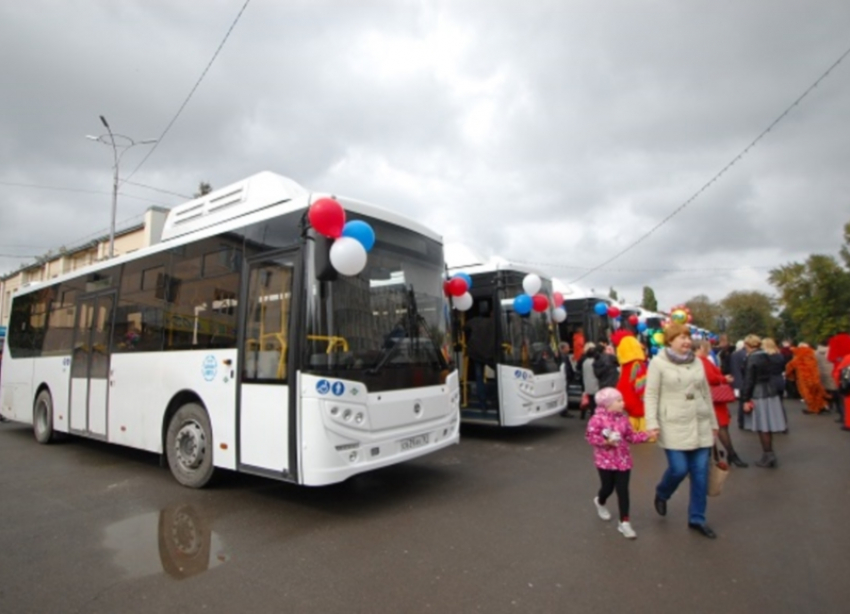 Новые автобусы закупают Дубовскому и Зимовниковскому районам Ростовской области