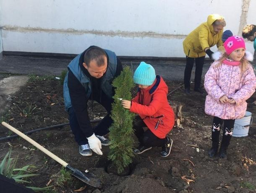 В честь 30-летия детского сада «Рябинушка» была высажена зеленая аллея