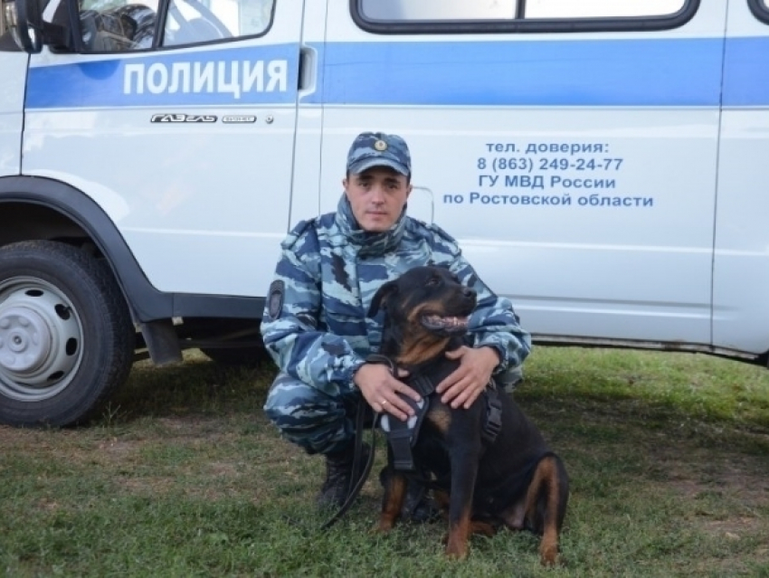 Волгодонский полицейский кинолог усмирил разъяренную овчарку, представлявшую угрозу жизни граждан