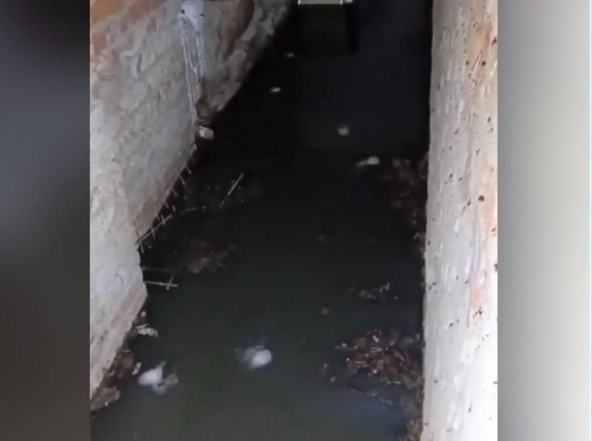 "Жители дома сами засорили канализацию": коммунальщики назвали причину фекальной вони в подвале переулка Донской,34