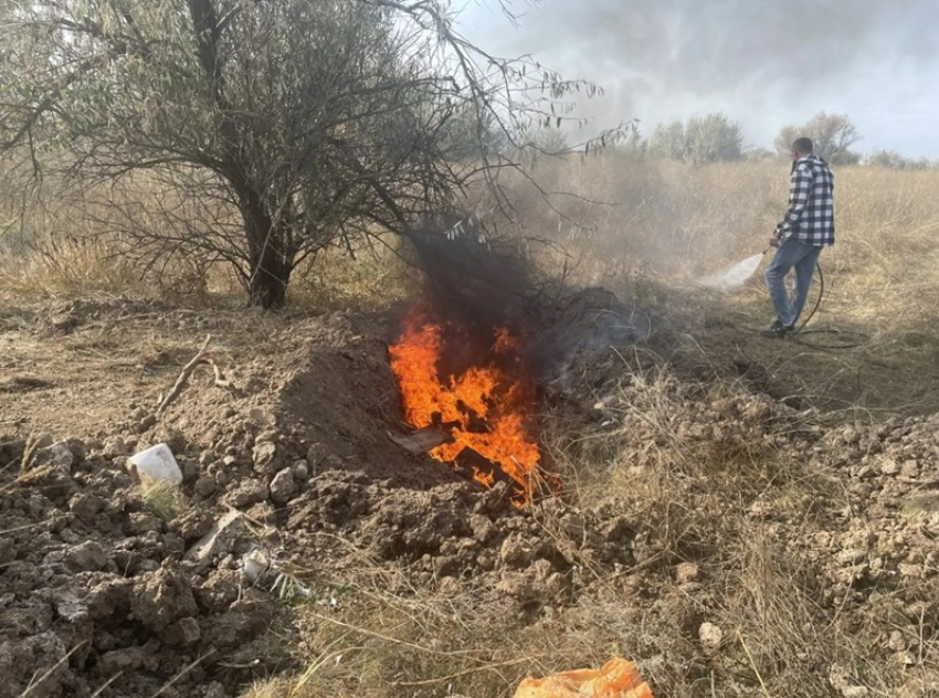 Свиней жгли полдня: тайный скотомогильник под Волгодонском ликвидировали