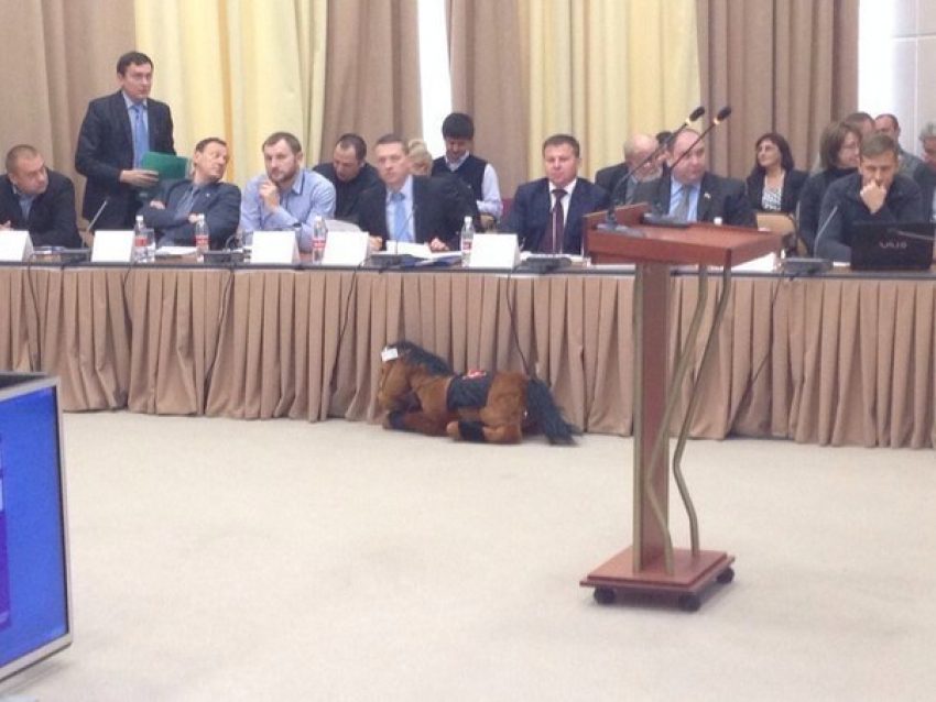 На заседании Волгодонской городской Думы присутствовали 17 депутатов и одна лошадь