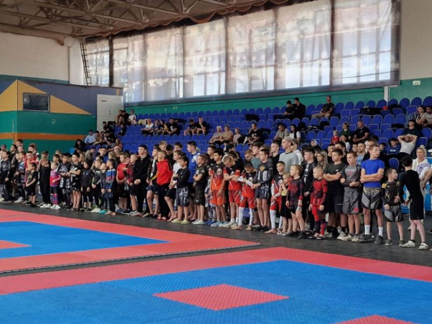 В Волгодонске прошел ежегодный турнир по боевым искусствам
