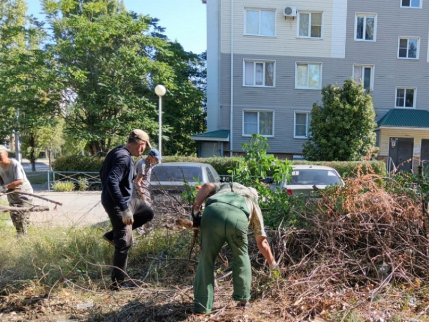 В новом городе коммунальщики ликвидировали свалочный очаг