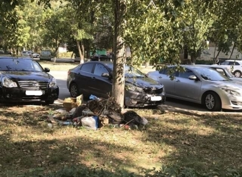 В Волгодонске во дворе по улице Энтузиастов устроили свалку под деревцем