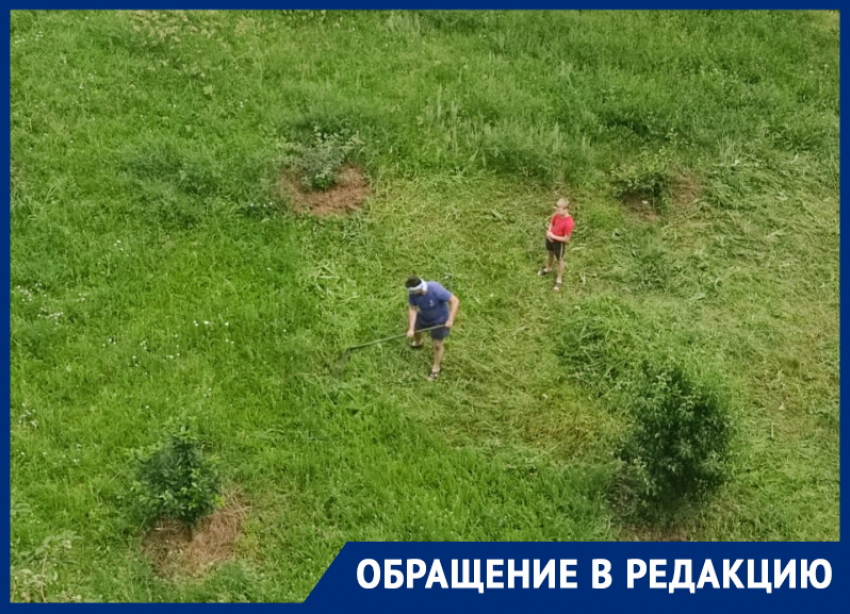 Не дождавшись помощи коммунальщиков, жители Волгодонска сами начали косить траву
