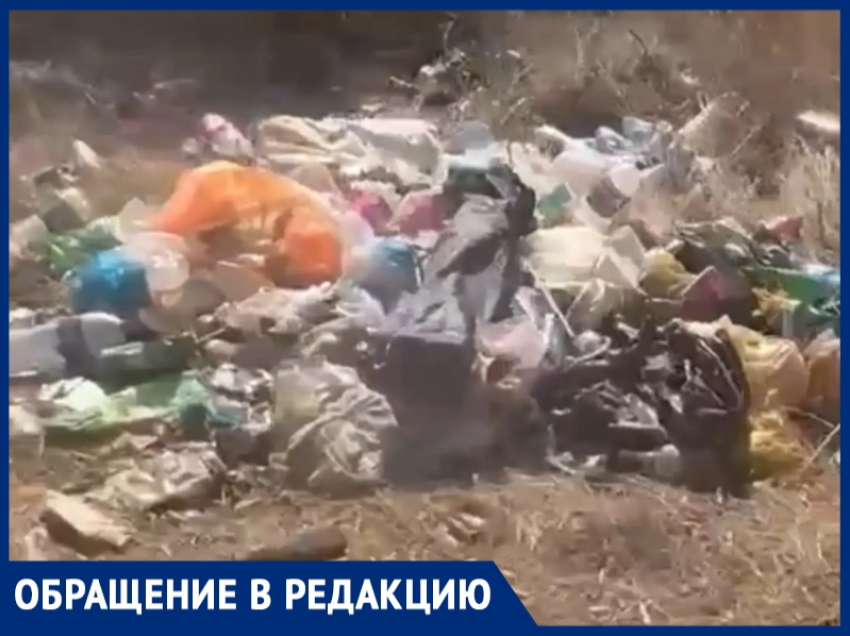 «Рыбалка на свалке»: люди превращают место отдыха в помойку