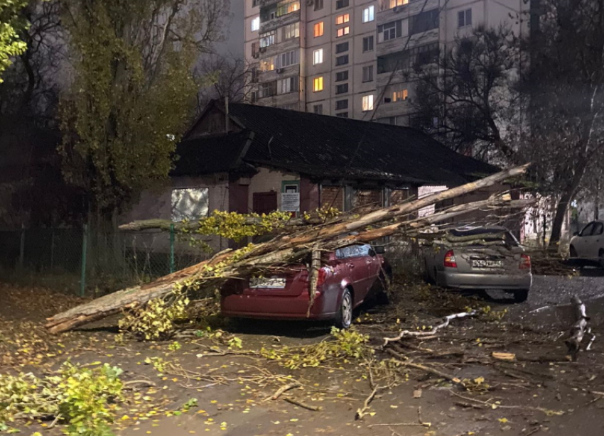 Бушующий ветер повалил часть дерева на автомобиль в Волгодонске