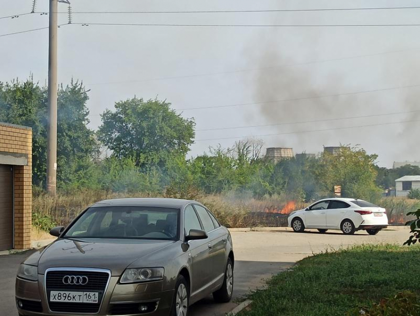 Едкий дым из-за горящей растительности окутал улицу Весенняя в Волгодонске 