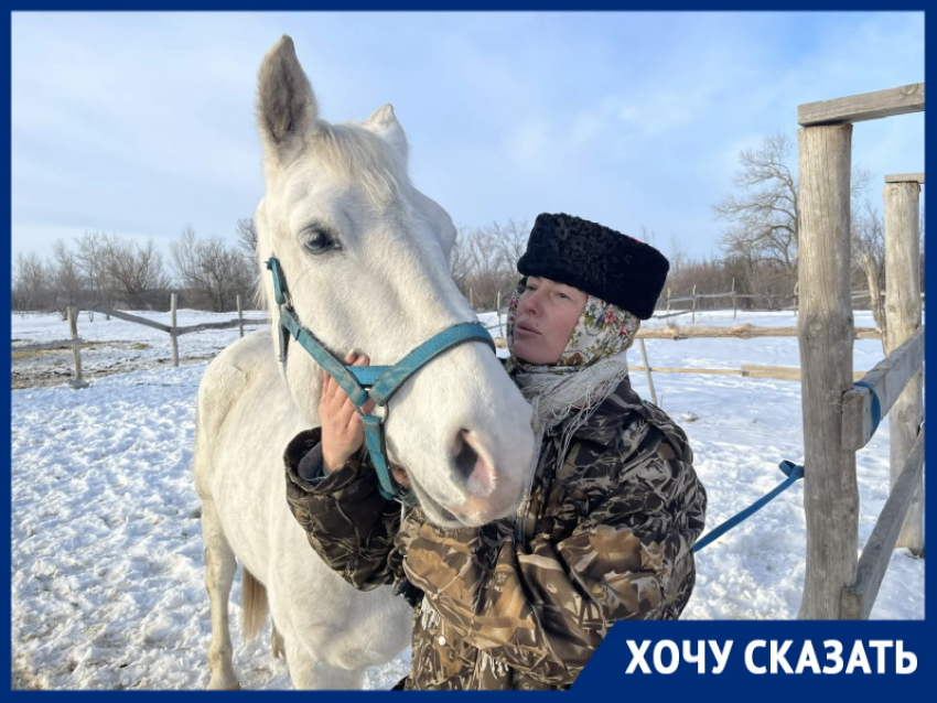 Жеребенка убило вражеским осколком: его испуганную и обмороженную маму из-под обстрела привезли в станицу Романовскую