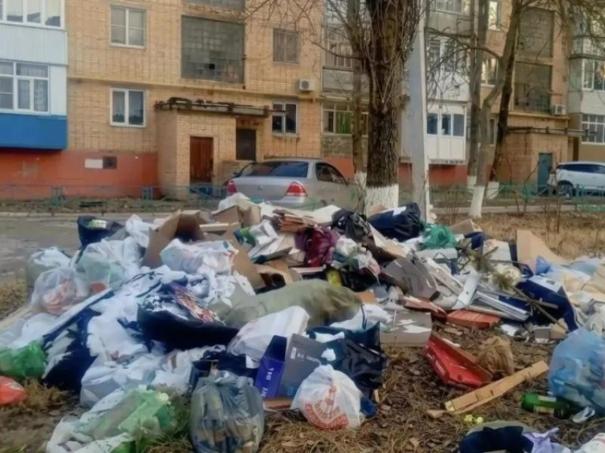 Горожане наторговали, намусорили и припарковались на два миллиона рублей: итоги муниципальной инспекции