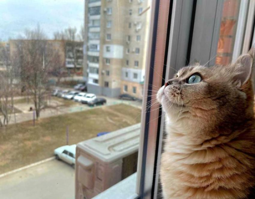 Пасмурный день ожидает волгодонцев сегодня 
