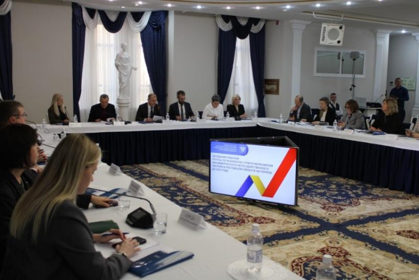 В Ростовской области прошло первое обсуждение стратегии развития некоммерческого сектора