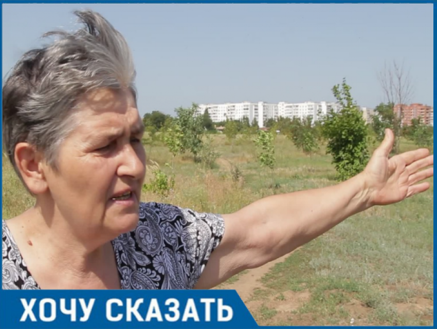 Мне стыдно перед погибшими, - пенсионерка из Волгодонска о состоянии аллеи Победы в парке «Молодежный»