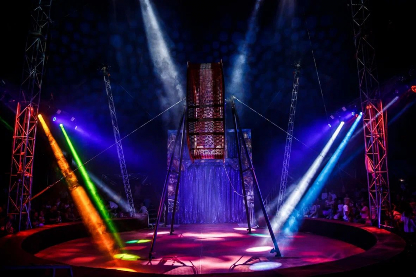 20 волгодонцев смогут бесплатно* сходить на цирковое представление «Happy Circus**»