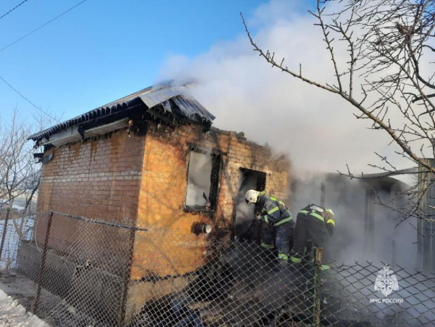 «Убивающие» людей электросети в садоводстве Волгодонска заберет федеральная компания