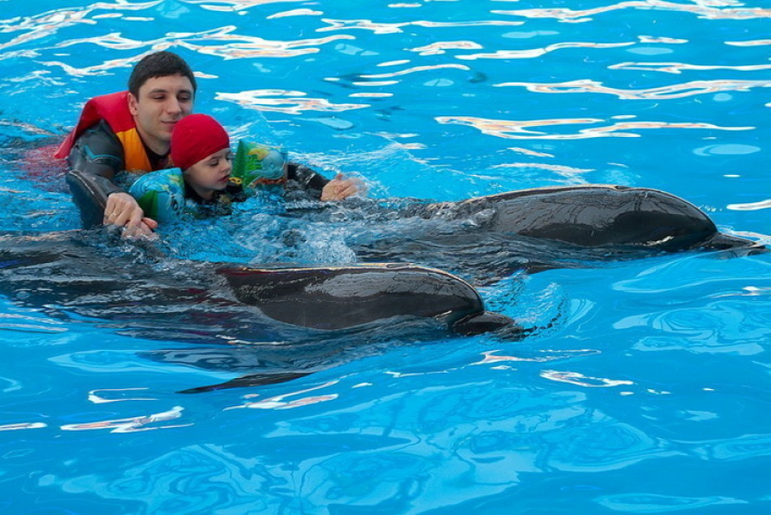 Волгодонские общественники познакомят детей-инвалидов с пони и дельфинами