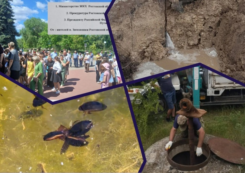 Водный коллапс в Зимовниковском районе и охота жуков-плавунцов: главные новости недели
