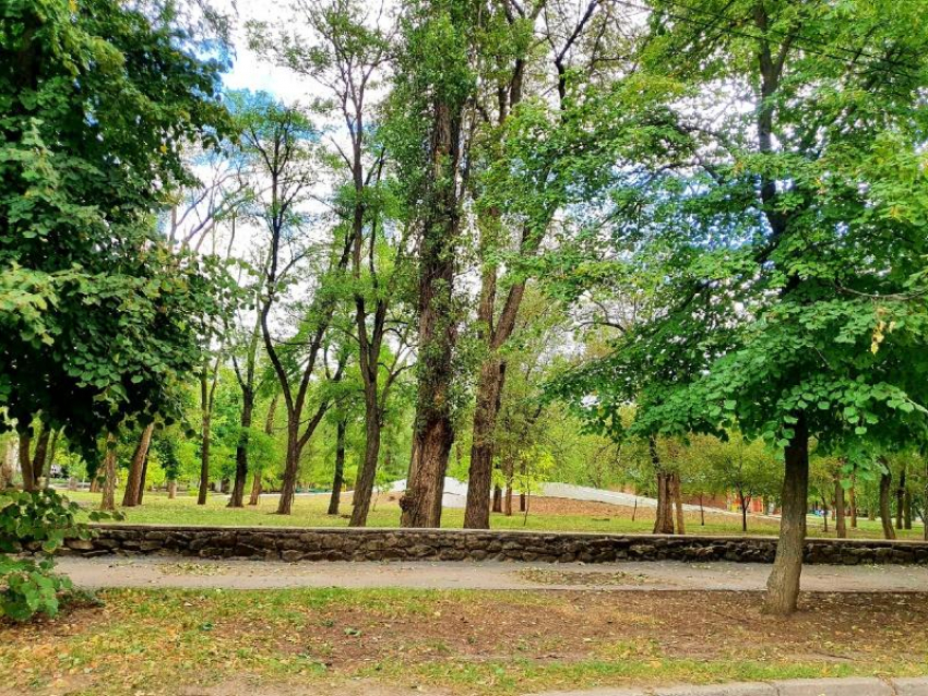 До +21 градуса прогреется воздух в Волгодонске сегодня 