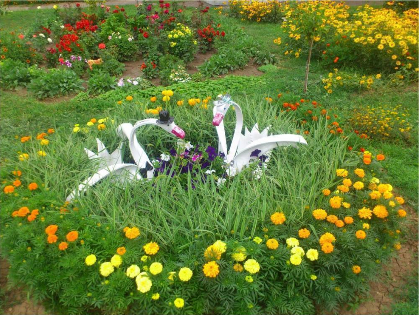 В Волгодонске наградили цветочные клумбы