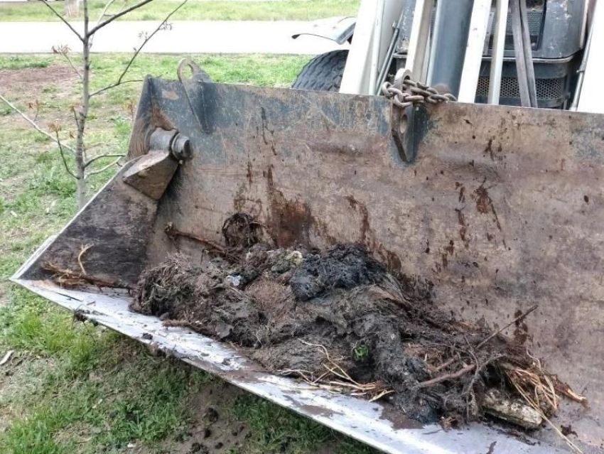 Волгодонцы по-прежнему чаще всего засоряют бытовую канализацию предметами личной гигиены