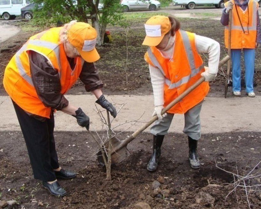 В Волгодонске детские садики ищут воспитателей, уборщиков и одного садовника