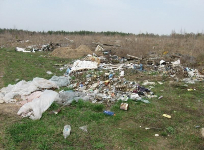 В Большой Мартыновке плодородное поле превратили в свалку 