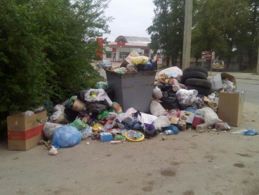 Стихийная свалка мусора образовалась на одной из главных транспортных магистралей Волгодонска 