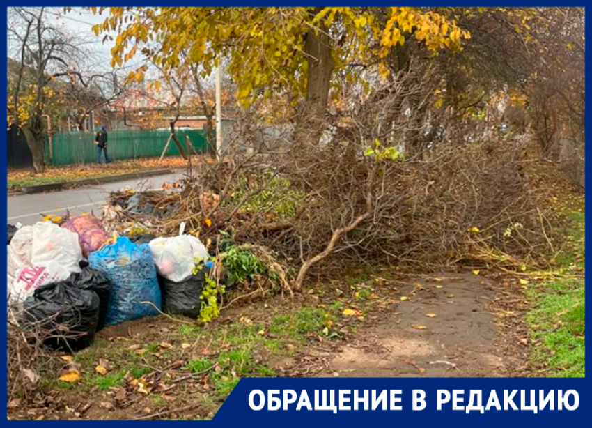«Этот «бомжатник» когда-нибудь закончится?»: захламленный ветками тротуар на улице Пионерской вызвал недовольство у горожан