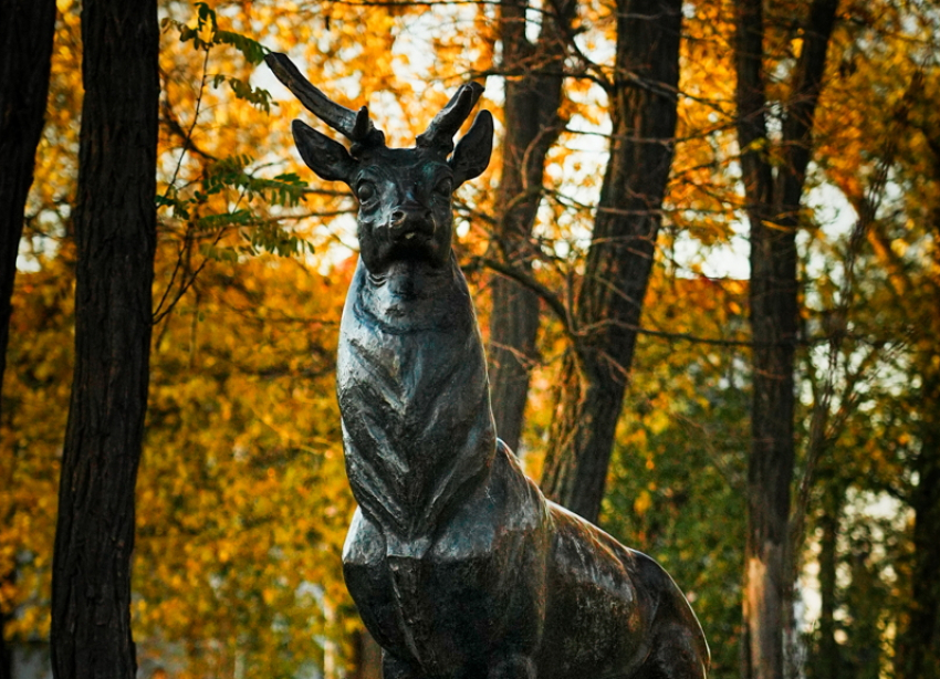 Теплая осень продолжается: 1 ноября в Волгодонске сохранится хорошая погода