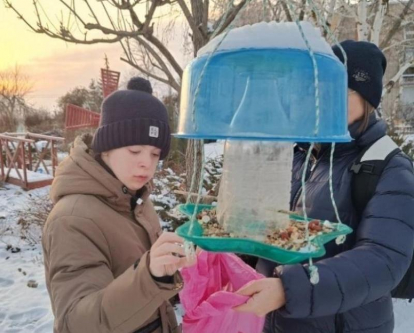 Воспитанники детского Центра «Радуга» спасают птиц Волгодонска от голодной зимы