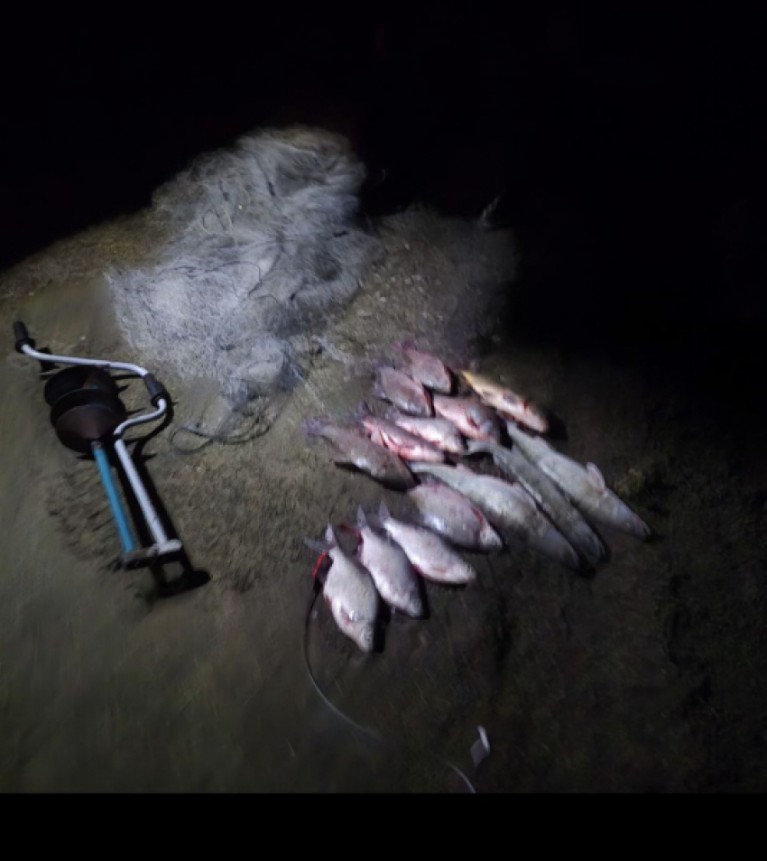 Двое рыбаков нарыбачили на уголовное дело в Цимлянском районе