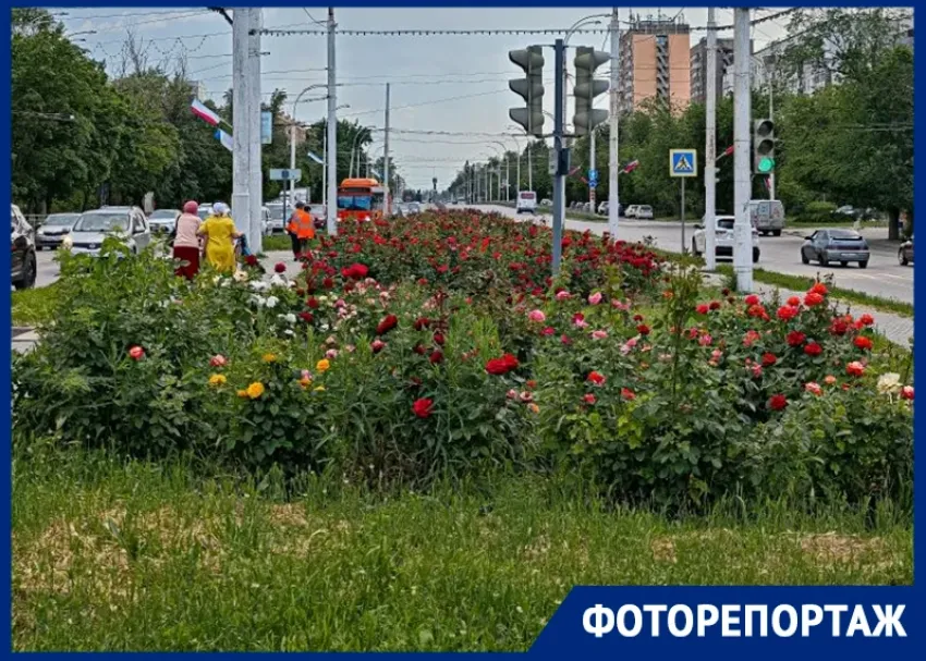 Оглянуться не успели: как Волгодонск прожил сумасшедшие две недели июня 