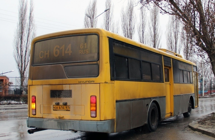 Названа дата начала работы дачных автобусов в Волгодонске