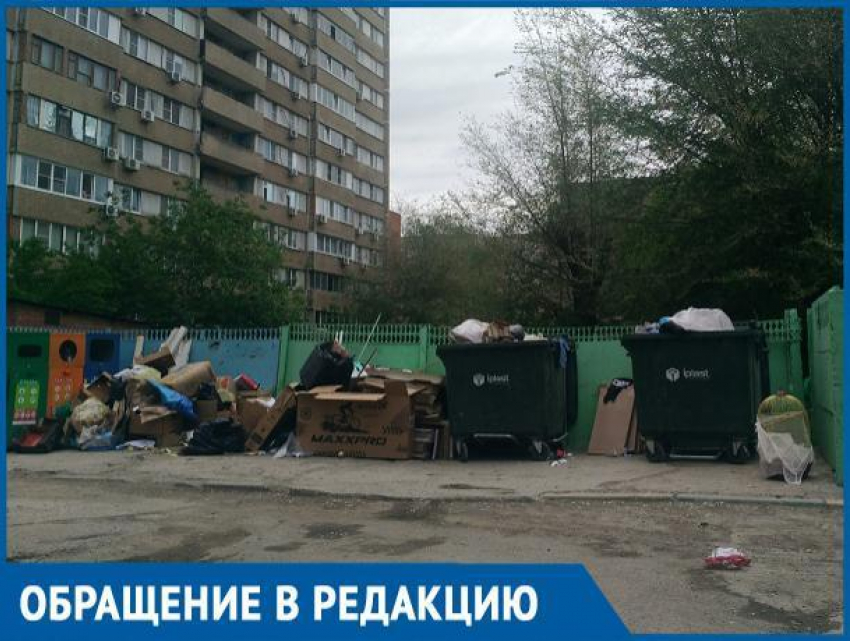 Бродячие животные растаскивают мусор по двору, - волгодонцы о свалке во дворе по проспекту Строителей