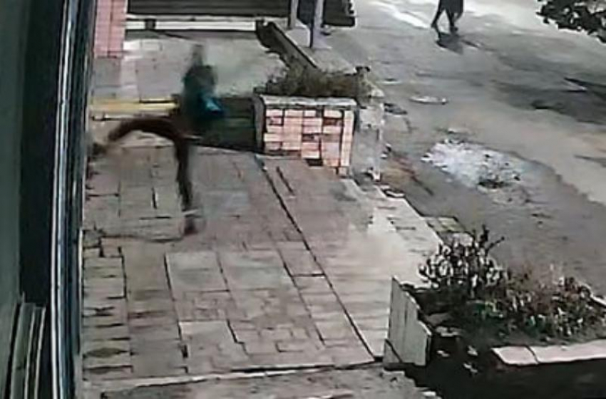 «Солевой» стрейнджер ночью подрался с деревом, разбил витрину музея и кричал неприличное о полиции