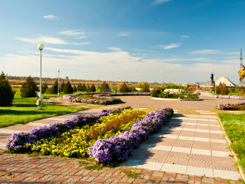 Лучшую городскую клумбу и ландшафтный дизайн выберут в Волгодонске 